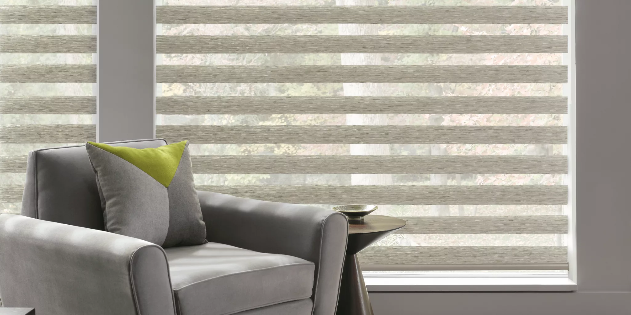 banded-shades-livingroom-standardview-detail_horizontal-lg